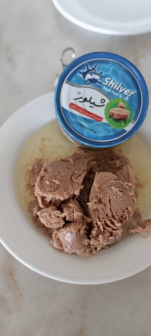 فروش عمده تن ماهی هوور خطی شبلور