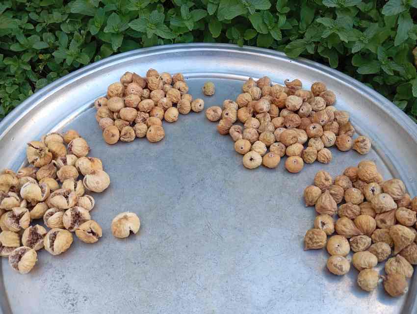 تصویر 1 از انجیر خشک عالی خوراکی سالم مخصوص پذیرایی