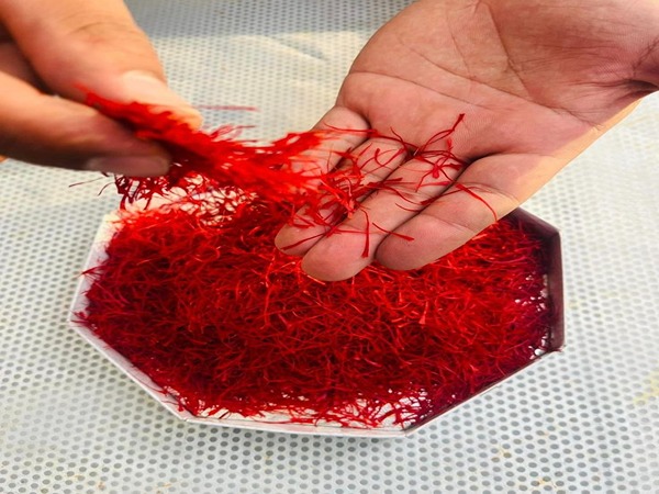 زعفران فله صادراتی با فرآوری بهداشتی جهت حفظ خواص