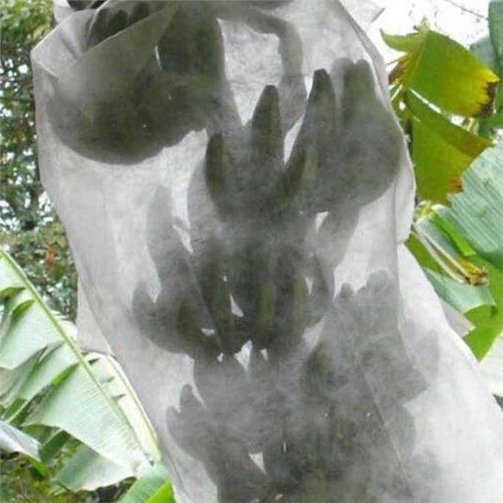 کیسه محافظ میوه درخت ضد حشرات و گرد و غبار