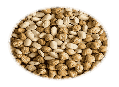 تصویر 2 از کنسرو نخود لوبیا آش مناسب نگهداری طولانی