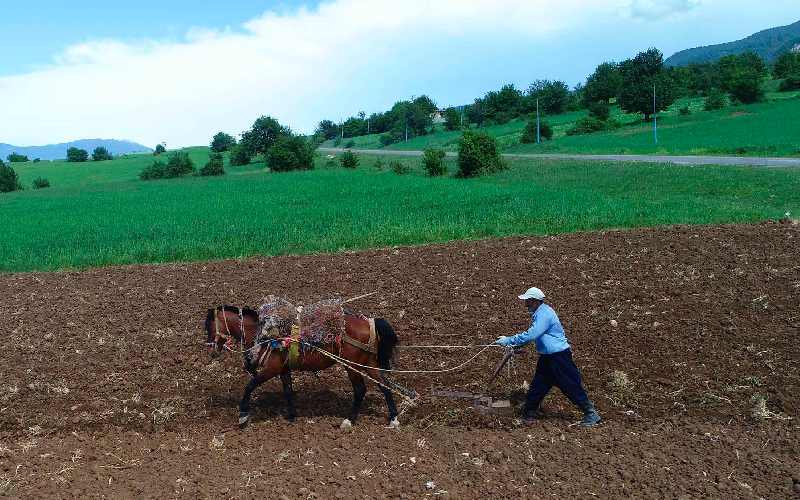 تصویر 2 از گاو آهن دستی مدل فشرده با امکان تغییر زاویه شخم به دلخواه