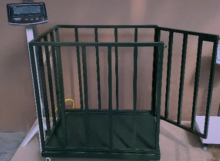 باسکول دام کش چرخ دار با سینی ضد لغزش برای توزین مطمئن دام