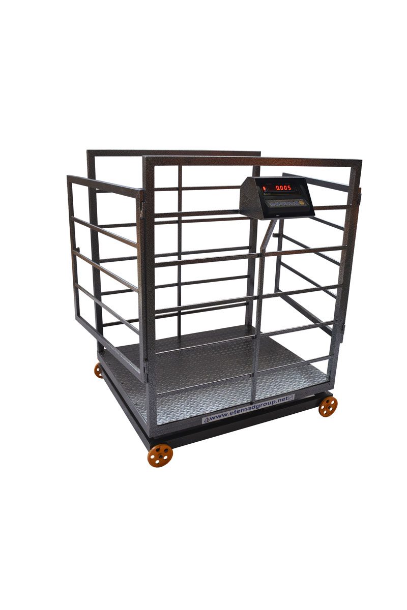 تصویر 4 از باسکول دام کش صنعتی سبک مناسب مراکز دامپزشکی