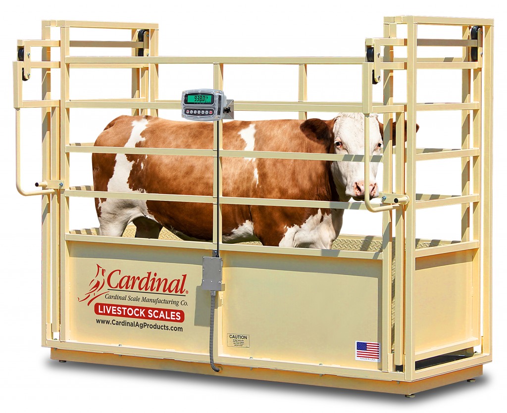 تصویر 5 از باسکول دامی صنعتی حفاظ دار برای افزایش ایمنی هنگام توزین