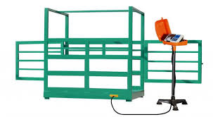 باسکول دام کش حرفه ای با نمایشگر دیجیتال چراغ دار