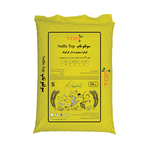 تصویر 4 از گوگرد گرانول برای زعفران موثر در جلوگیری از آفت