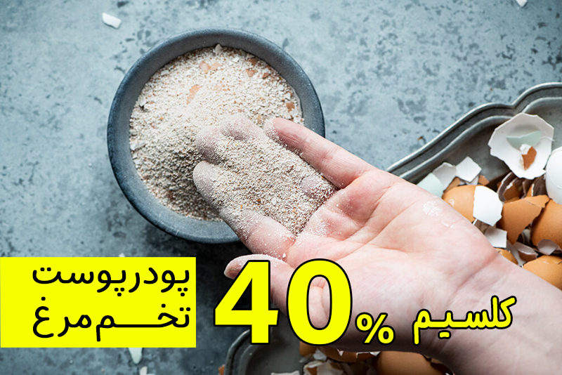 خرید پودر پوست تخم مرغ خوراکی با کیفیت بالا