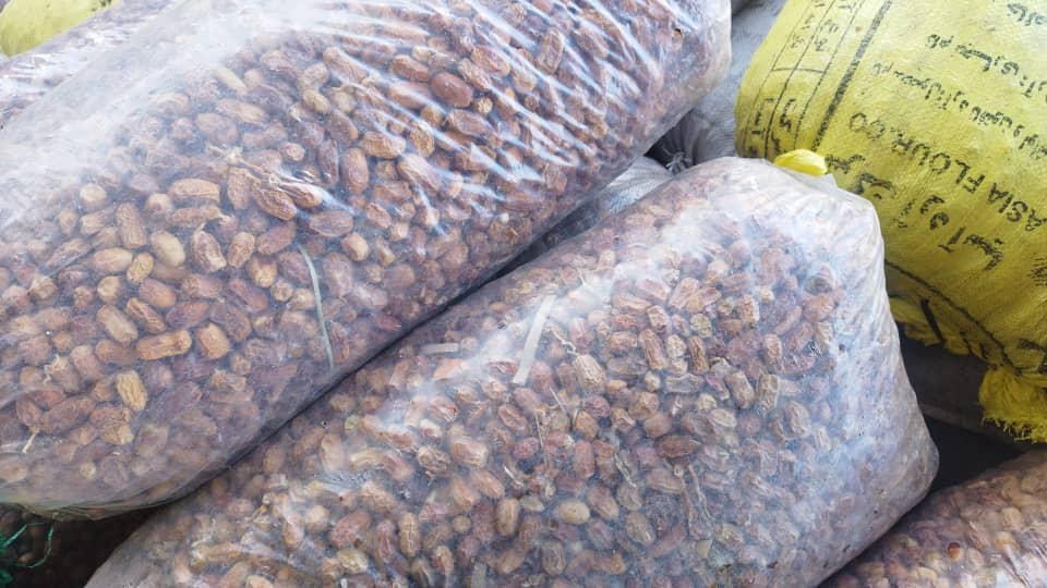 تصویر 2 از فروش خرما ضایعاتی برای شرکت های کنستانتره