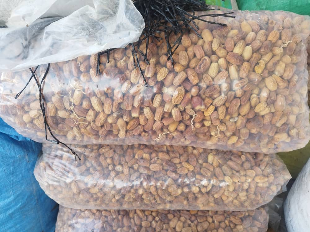 تصویر 1 از فروش خرما ضایعاتی برای شرکت های کنستانتره