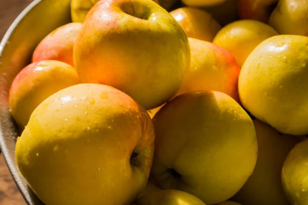 تصویر 5 از سیب زرد سمیرم مرغوب درجه یک با رنگ زرد طلایی