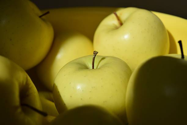 تصویر 4 از سیب زرد ارومیه تازه چیده شده از باغ با ماندگاری طولانی