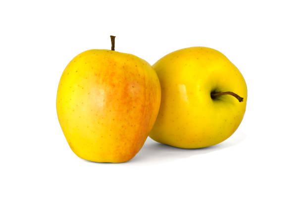 تصویر 3 از سیب زرد ارومیه تازه چیده شده از باغ با ماندگاری طولانی