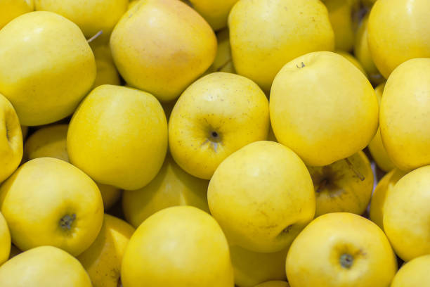 تصویر 3 از سیب زرد استخوانی ویژه صادرات با استاندارد بین المللی