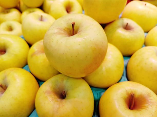 تصویر 1 از سیب زرد استخوانی ویژه صادرات با استاندارد بین المللی