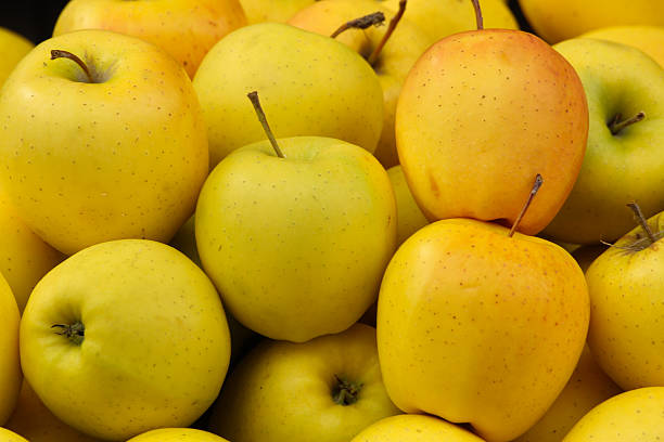 تصویر 5 از سیب زرد سمیرم درجه یک ارگانیک مناسب مصرف داخلی