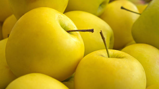 تصویر 2 از سیب زرد سمیرم درجه یک ارگانیک مناسب مصرف داخلی