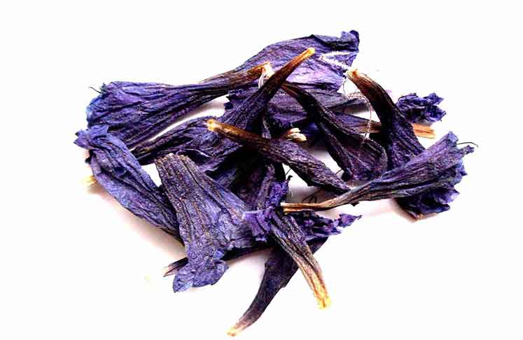 تصویر 2 از گل گاوزبان کیلویی با خواص طبی و طعم ملایم