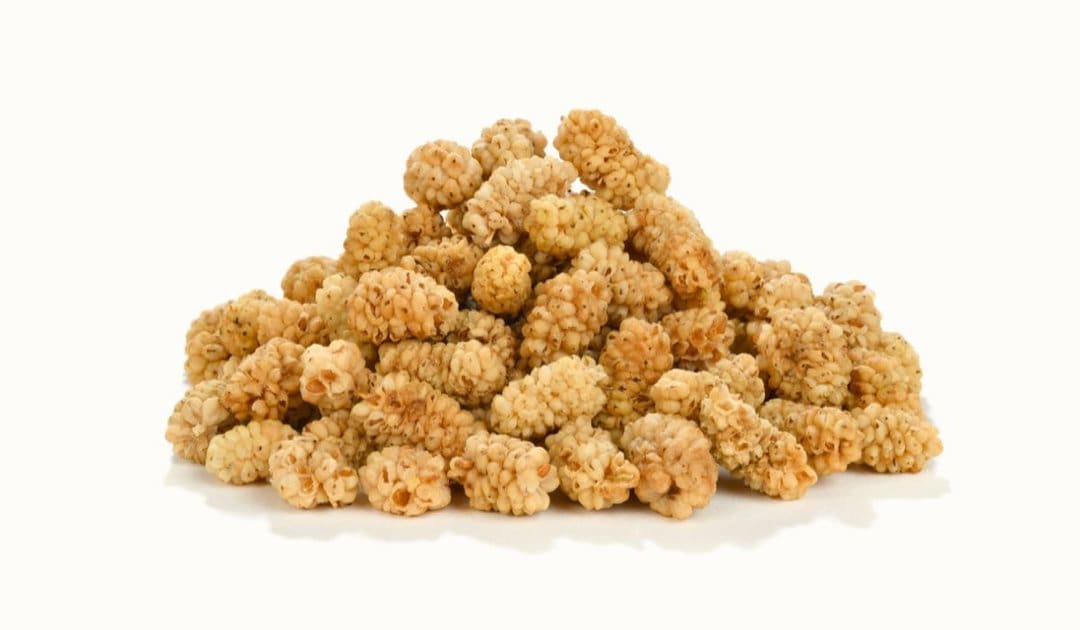 خرید توت خشک