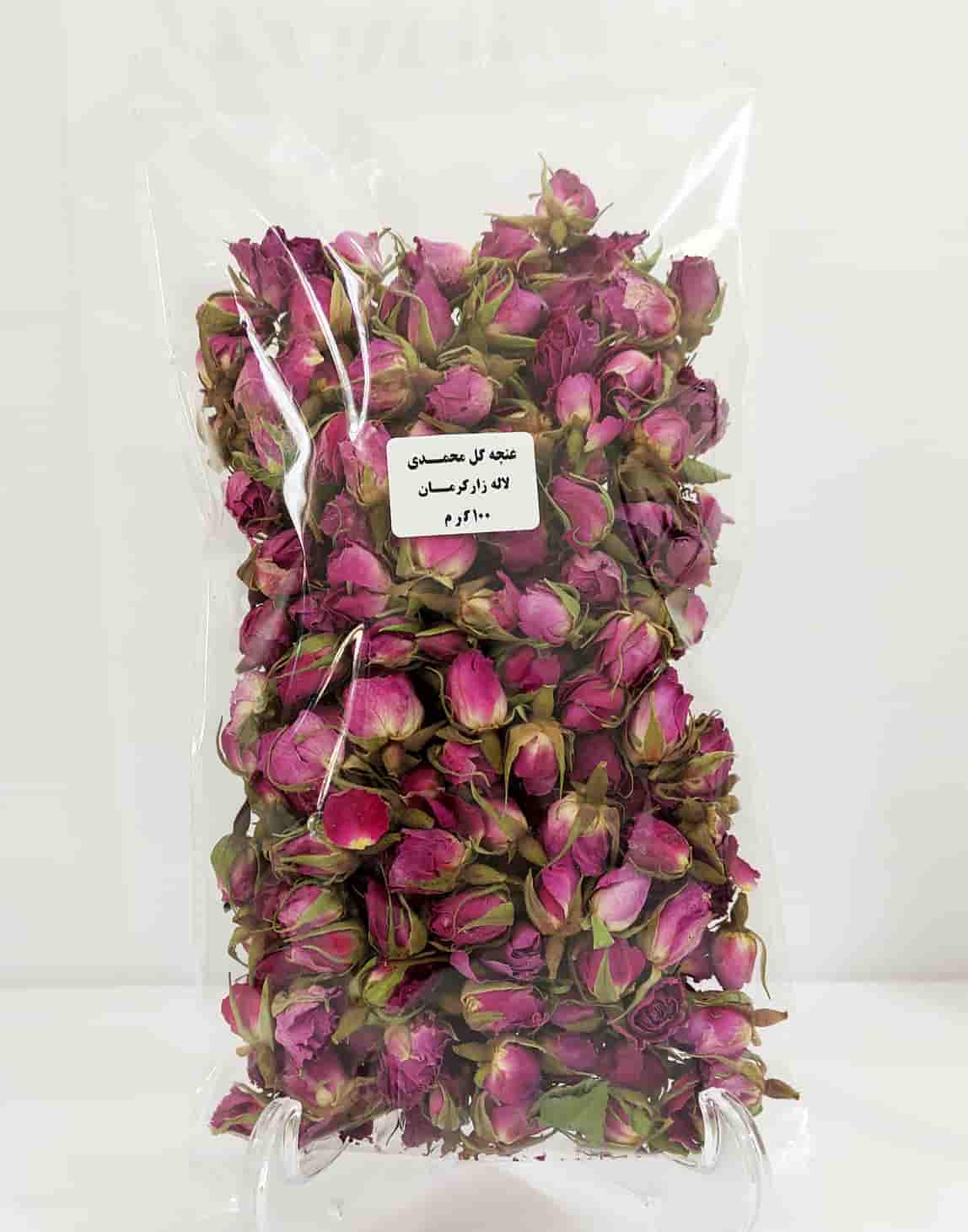 تصویر 1 از گل محمدی کرمان با گلدهی پایدار و زیبایی طبیعی چشمگیر