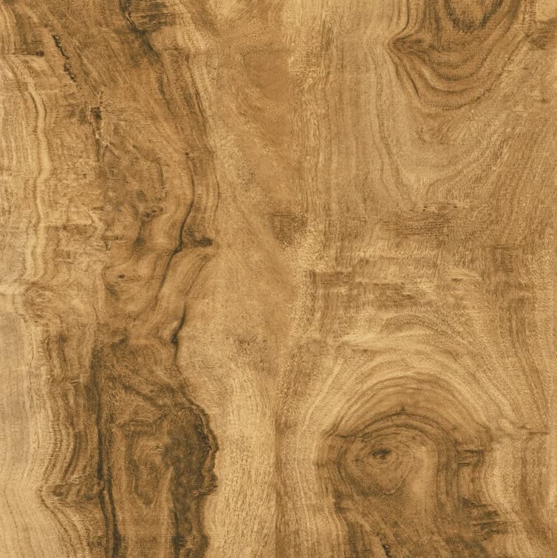 تصویر 3 از سرامیک پرسلان طرح پارکت با تنوع طرح و ابعاد