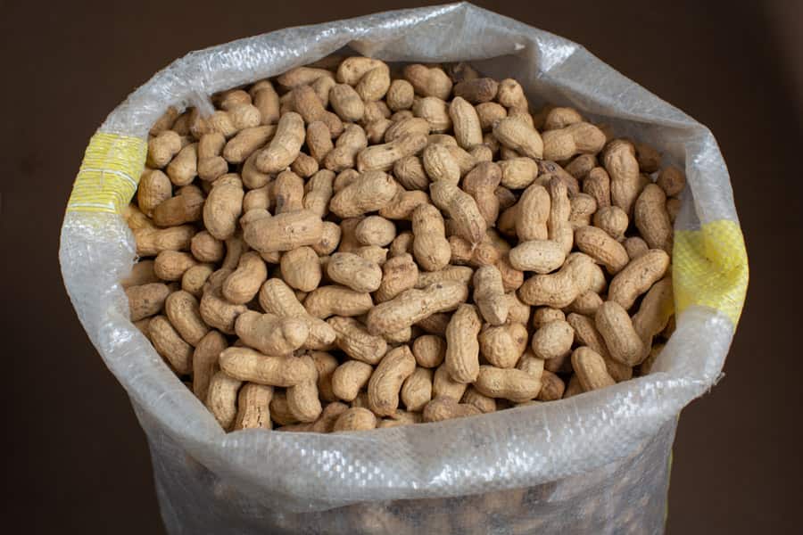 تصویر 4 از بادام زمینی آستانه با طعم اصیل محلی مناسب مصرف روزانه خانوادگی