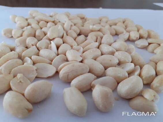 تصویر 1 از بادام زمینی آستانه با طعم اصیل محلی مناسب مصرف روزانه خانوادگی