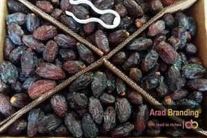 تصویر 4 از خرما مضافتی بم کیفیت تضمین‌ شده