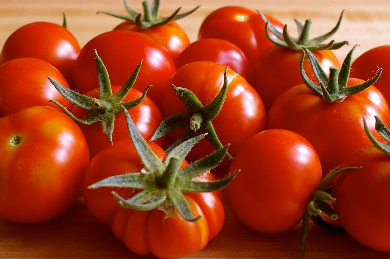 تصویر 4 از گوجه‌ فرنگی سفت و تازه مناسب حمل‌ و نقل و توزیع