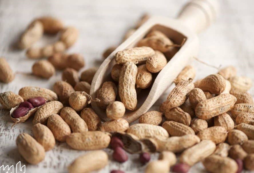 تصویر 3 از بادام زمینی با پوست تازه برداشت شده با مغز درشت طبیعی