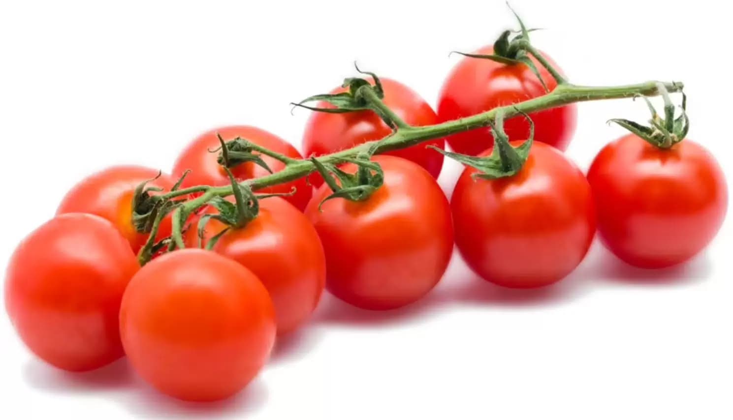 تصویر 3 از گوجه‌ فرنگی جم سالم و گوشتی مناسب تهیه رب خانگی