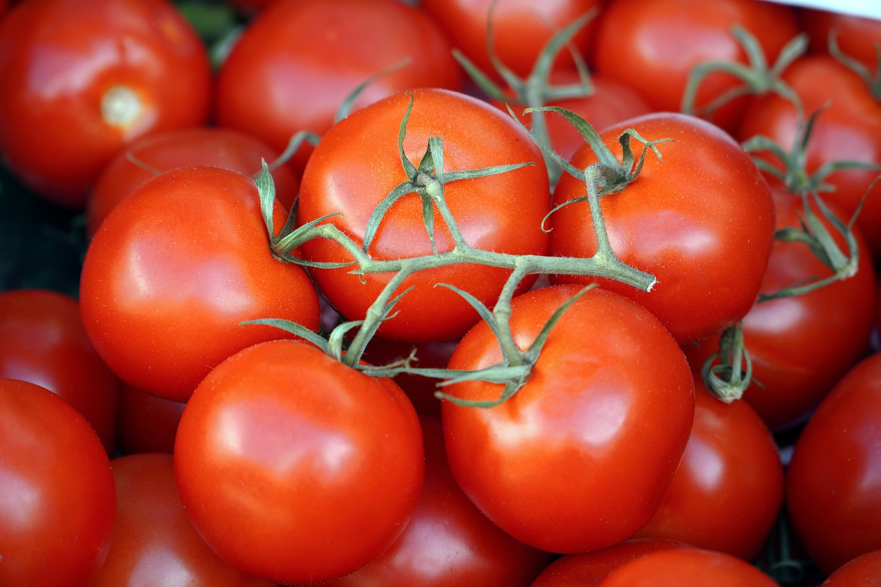 تصویر 4 از گوجه‌ فرنگی قوچان مرغوب و تمیز مناسب عرضه مستقیم