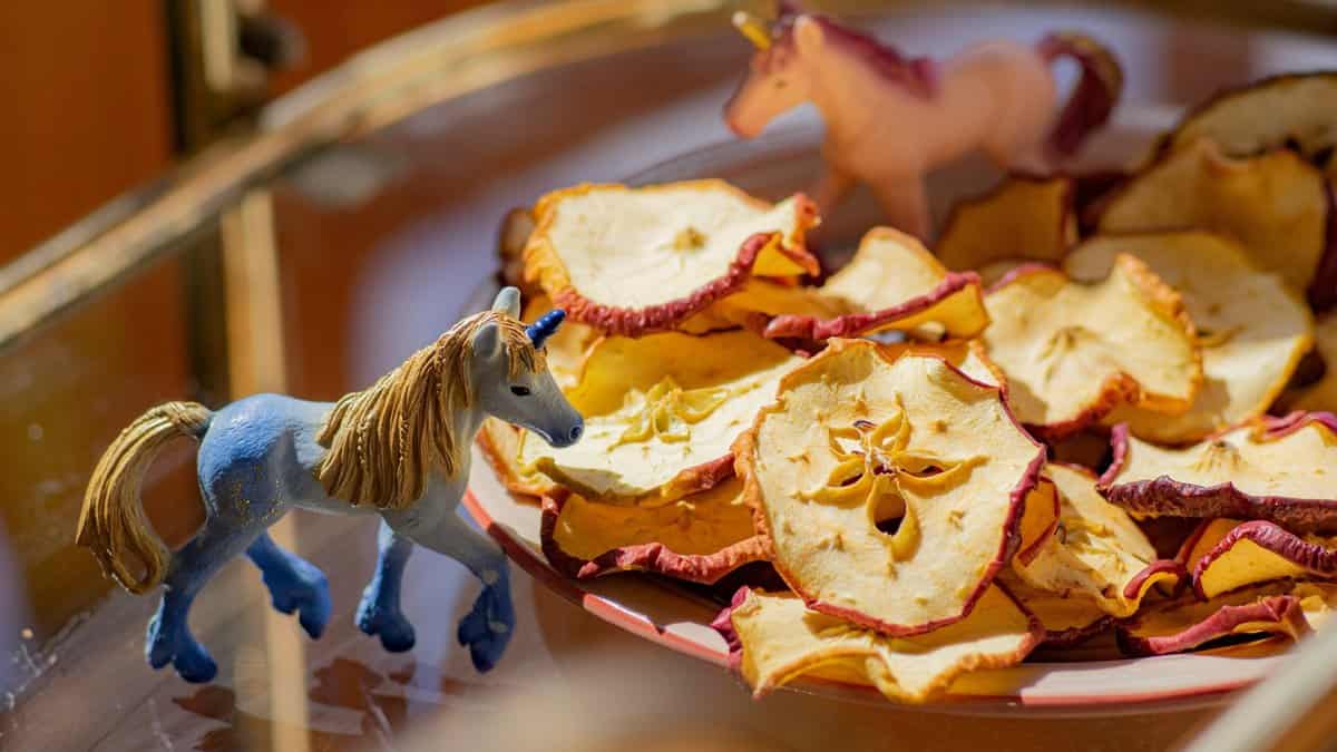 تصویر 3 از سیب خشک قرمز با پوست میان وعده ای سالم برای افزایش انرژی