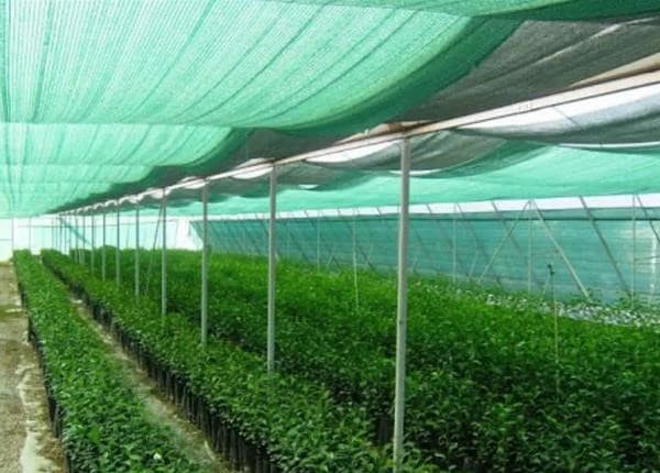 گونی جنگلی با کیفیت و با دوام برای مصارف گسترده صنعتی