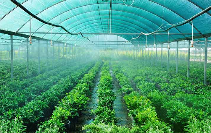 تصویر 2 از گونی جنگلی با کیفیت و با دوام برای مصارف گسترده صنعتی