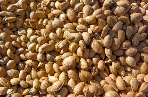 تصویر 5 از بادام درختی همدان خشک شده طبیعی بدون نمک