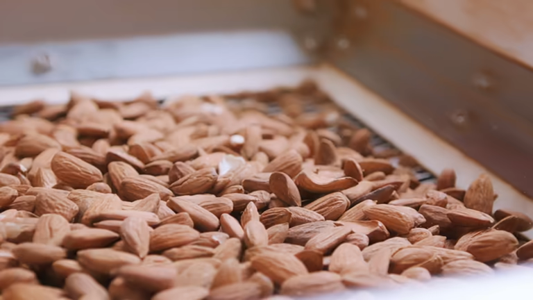 تصویر 2 از بادام درختی گلستان ارگانیک تازه برداشت مناسب تنقلات مدرسه