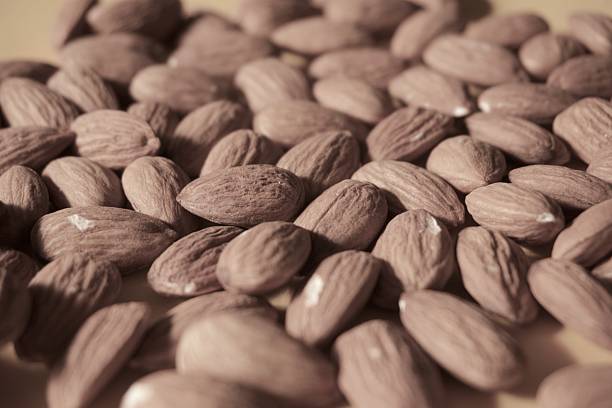 تصویر 5 از بادام درختی کهنه اقتصادی مناسب صنایع غذایی و تولید روغن بادام