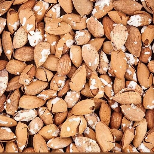 بادام درختی منقا درجه یک سورت‌ شده مناسب صادرات