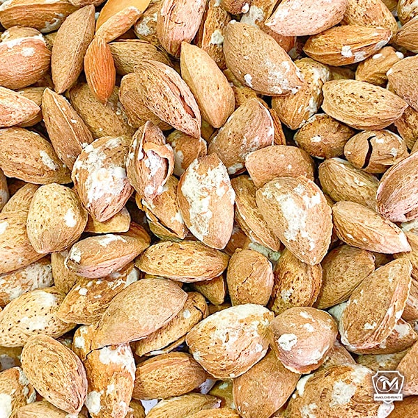 بادام درختی نمکی با پوست کاغذی مناسب تهیه آجیل