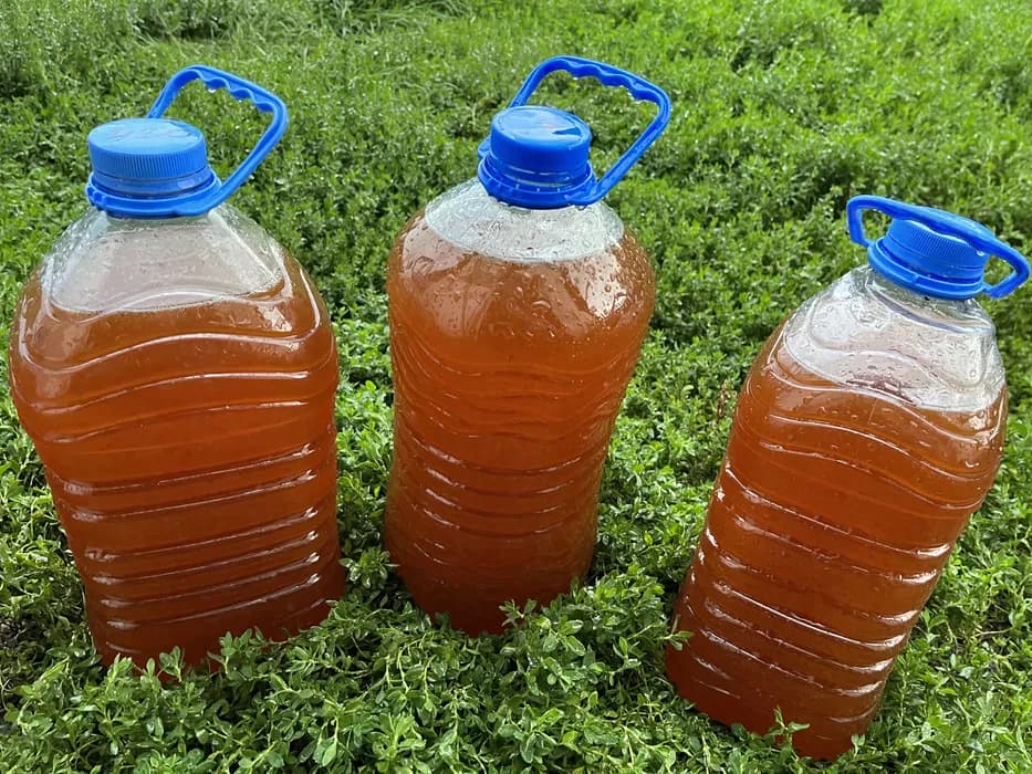 تصویر 4 از سرکه انگور خالص مناسب مصرف روزانه و رژیم غذایی سالم