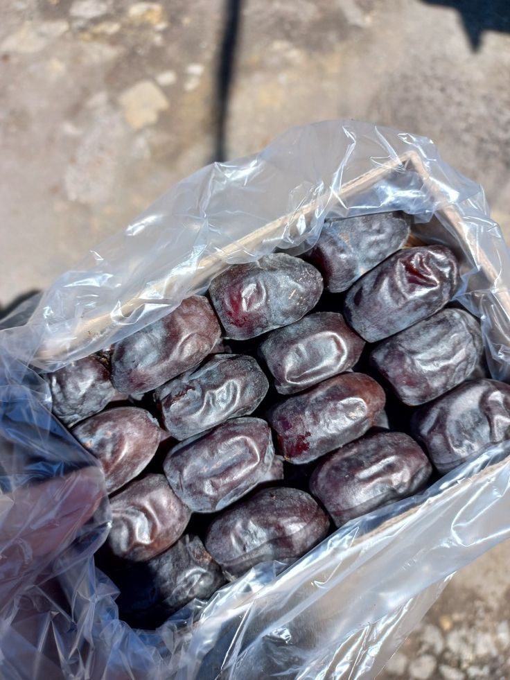 تصویر 4 از خرما مضافتی درجه دو با فرآوری تمیز صنعتی