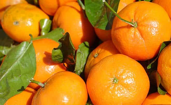 تصویر 4 از نارنگی جنوب تازه با طعم شیرین و بافت آبدار