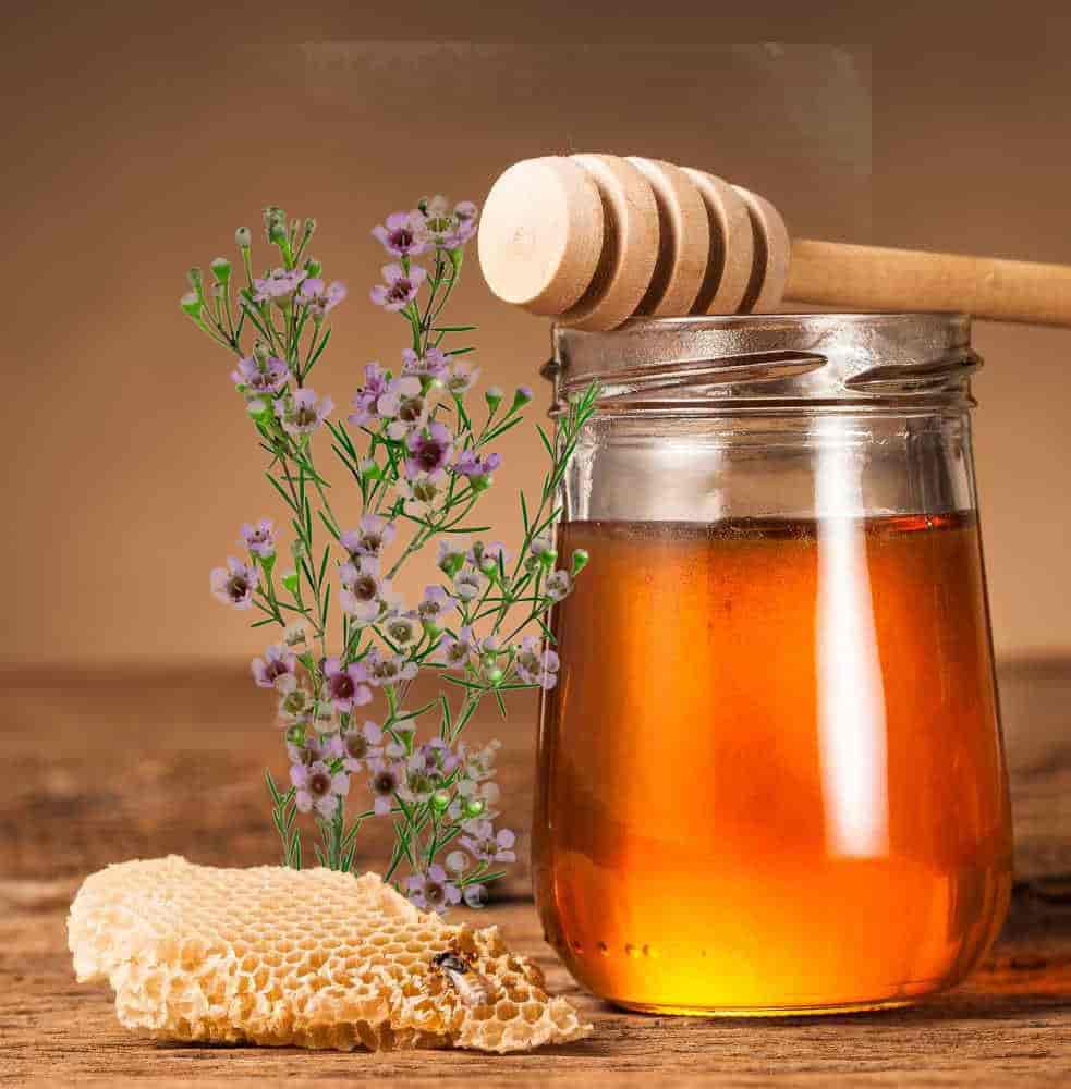 تصویر 3 از عسل گون گز تازه و خوش‌ طعم برای مصرف روزانه