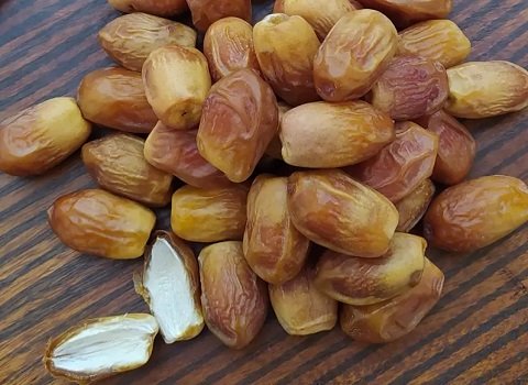 خرما زاهدی یاس نور با کیفیت پایدار محصول