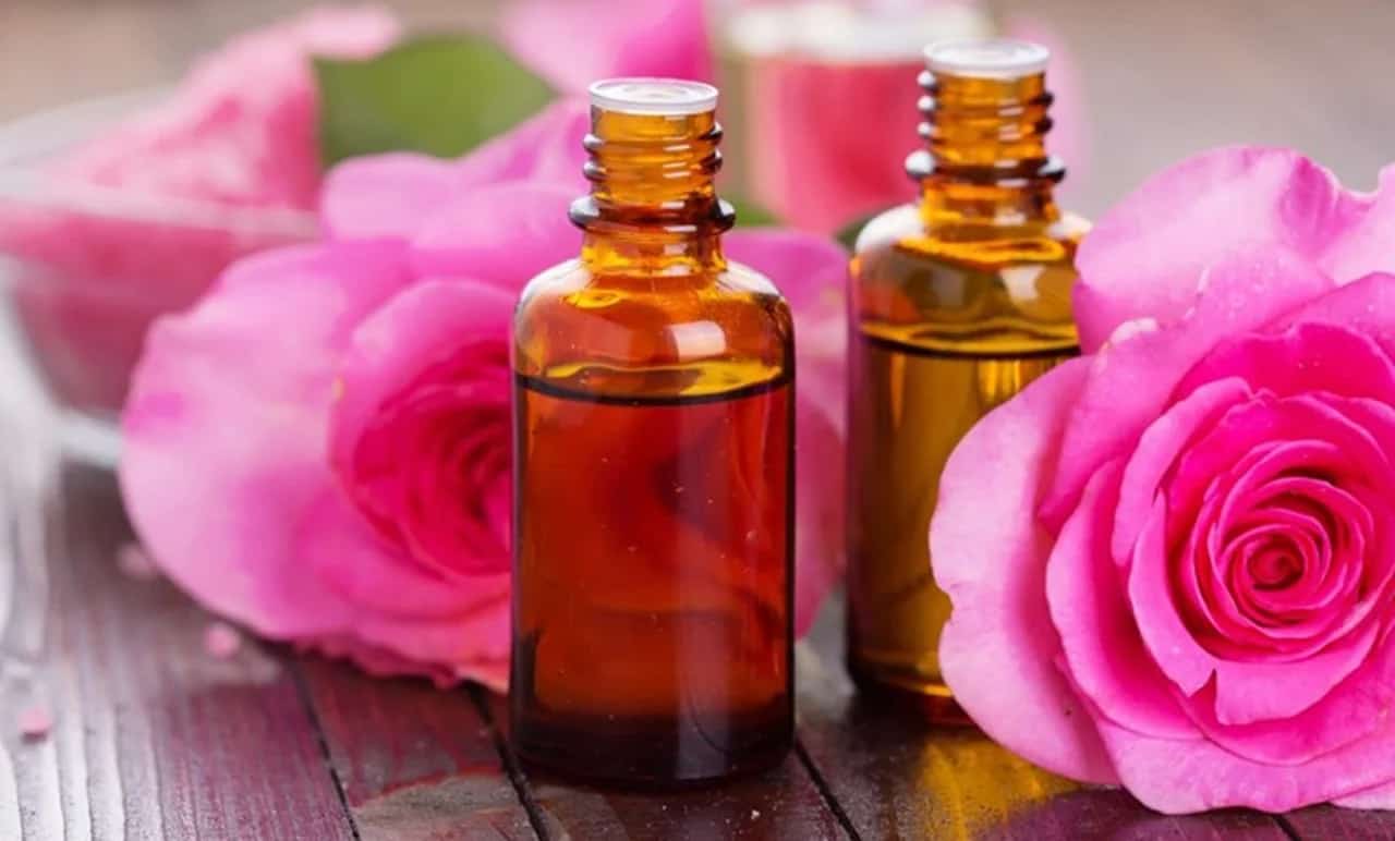 تصویر 2 از گل محمدی مناسب روغن گیری اصل با عطر طبیعی و رایحه دلنشین برای مراقبت پوست