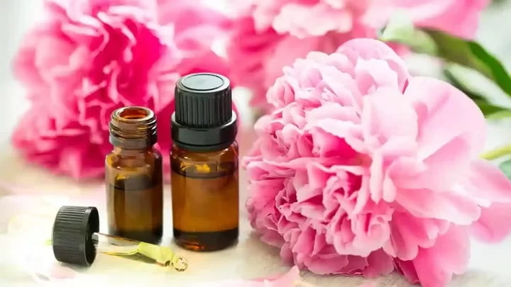 تصویر 4 از گل محمدی مناسب روغن گیری اصل با عطر طبیعی و رایحه دلنشین برای مراقبت پوست