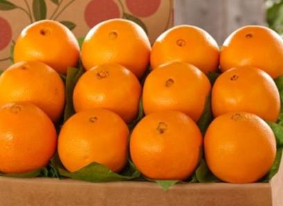 پرتقال پیوندی سرشار از عناصر معدنی و ترکیبات مغذی