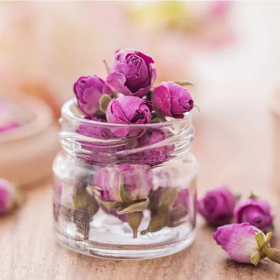 تصویر 1 از گل محمدی دارویی تازه با خواص درمانی برای دمنوش و آرامش بدن