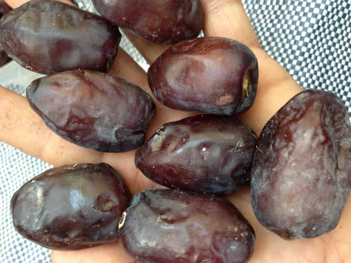 خرما مضافتی طلایی بسته‌ بندی مقاوم